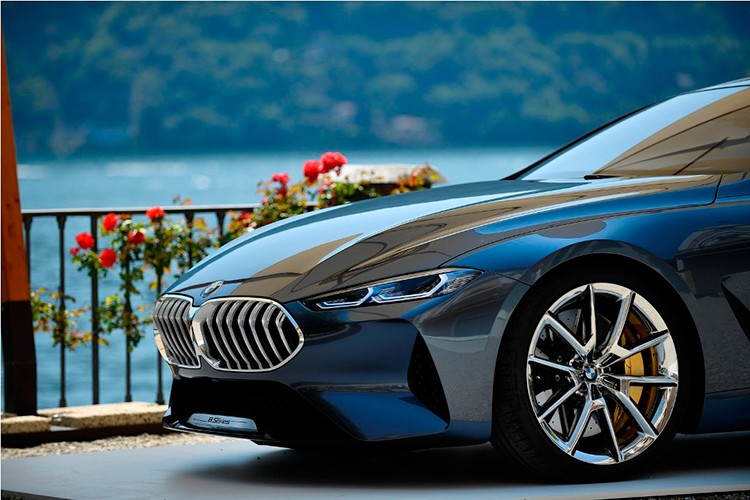 BMW 8-Series Concept &quot;bang xuong bang thit&quot; tai Y-Hinh-5